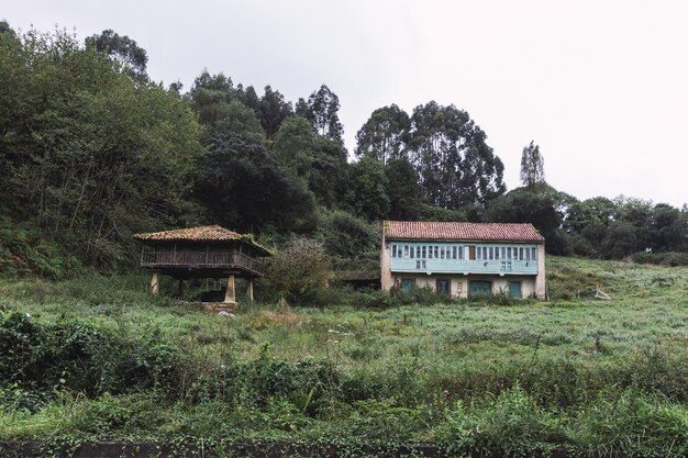 Pequeñas casas en la colina en el bosque.