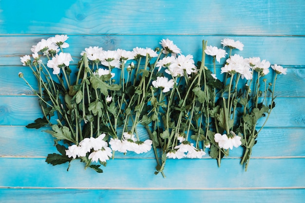 Pequeñas flores blancas en la mesa