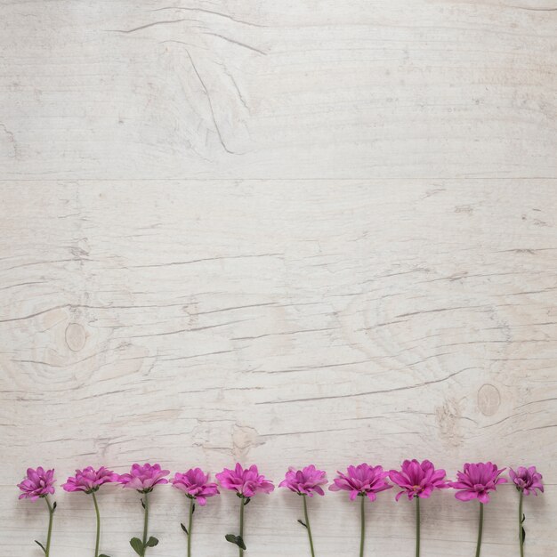 Pequeñas flores moradas esparcidas sobre mesa blanca.