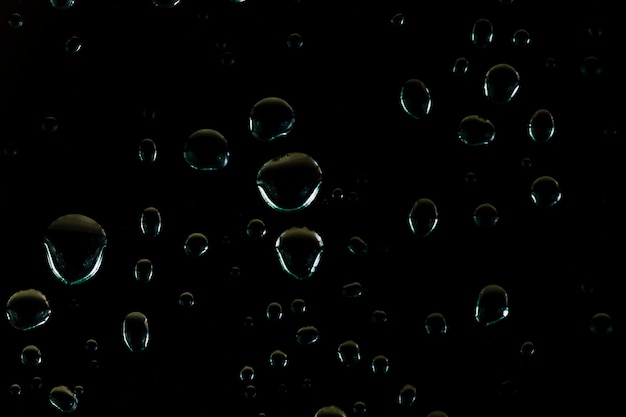 Pequeñas gotas de agua sobre fondo negro