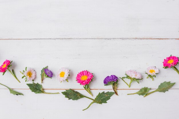 Pequeñas hojas y flores sobre tablero de madera.