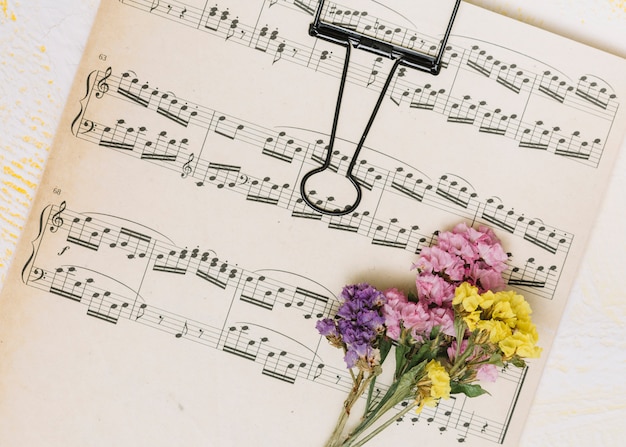 Pequeñas ramas de flores brillantes en la hoja de música