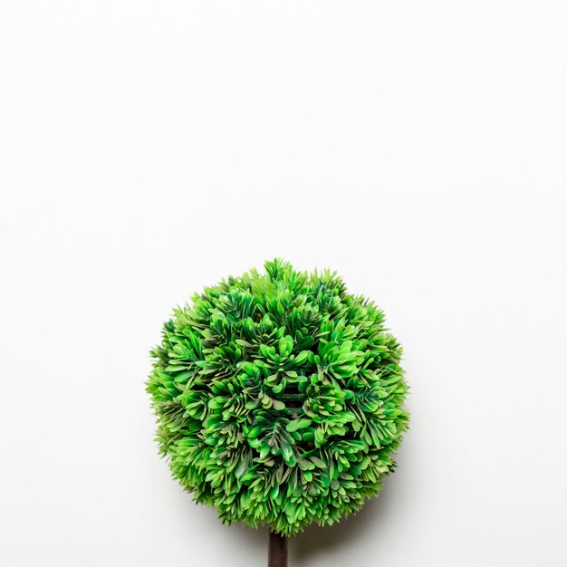 Pequeño árbol decorativo verde