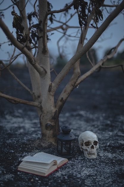 Pequeño árbol con libro de hechizos y calavera para la noche de halloween