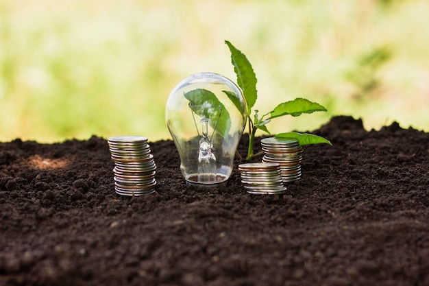 Pequeño árbol con monedas de ahorro al lado