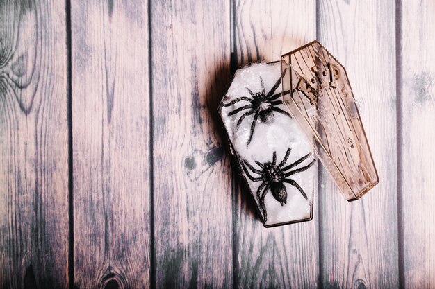 Foto gratuita pequeño ataúd con arañas