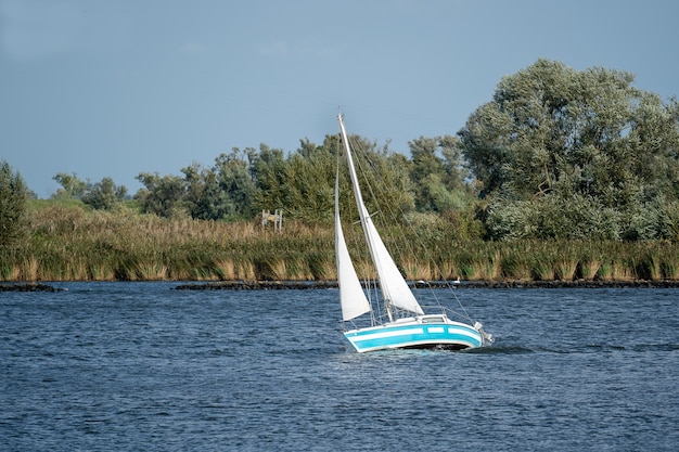 Pequeño barco de vela en un lago rodeado de árboles bajo la luz del sol