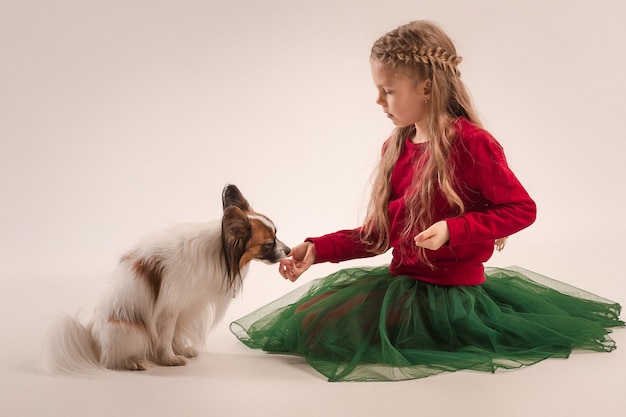 pequeño cachorro bostezando Papillon