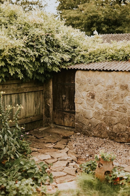 Foto gratuita pequeño jardín de casa en el patio trasero en verano