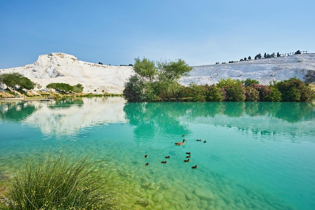 Foto gratuita el pequeño lago en pamukkale