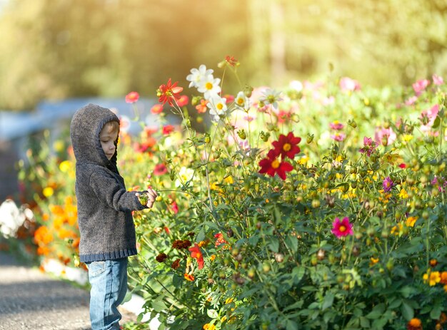 Pequeño niño jugando con flores