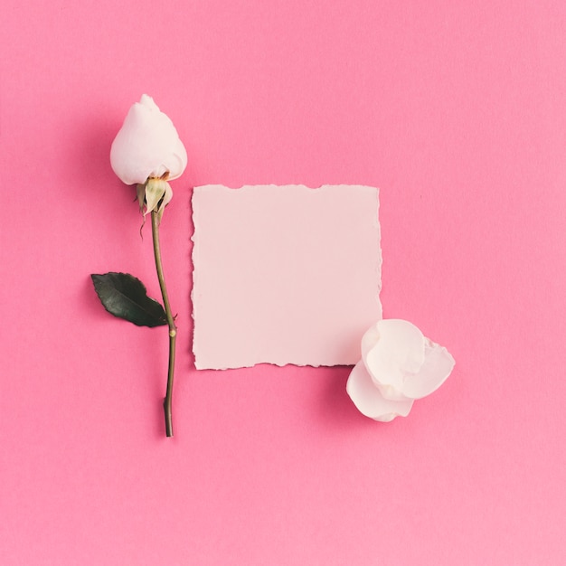 Pequeño papel en blanco con flor blanca en mesa