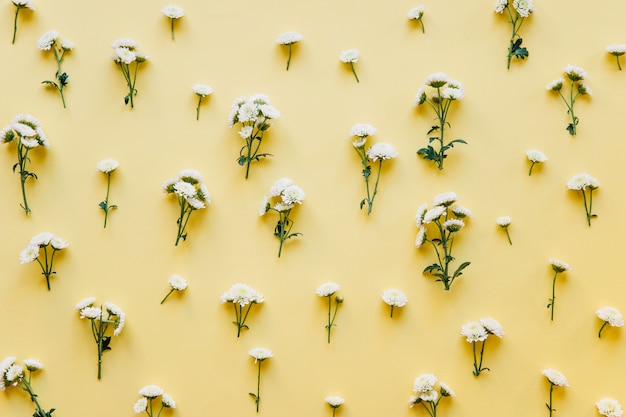 Foto gratuita pequeño patrón de flores blancas