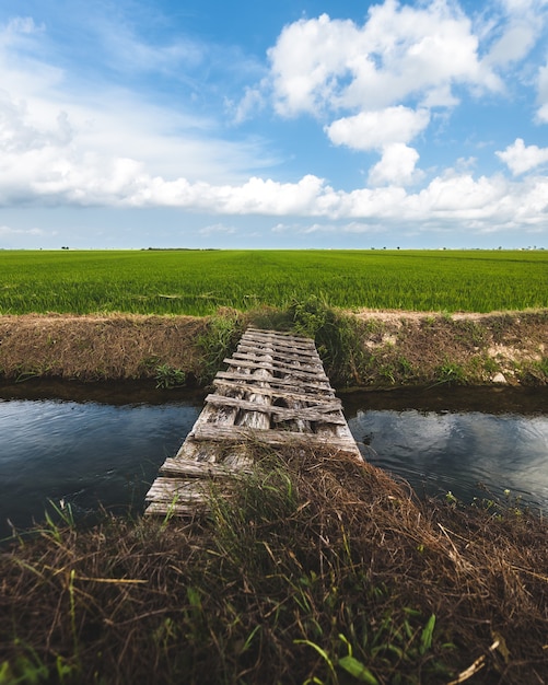 Pequeño puente de madera que cruza un pequeño río con un campo verde