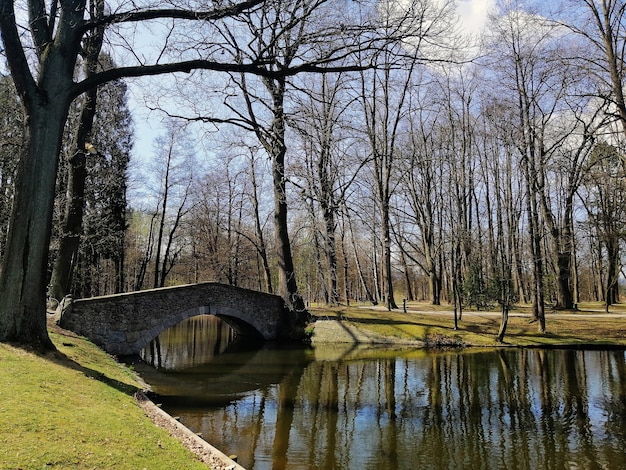 Pequeño puente sobre un río rodeado de vegetación en Jelenia Gora, Polonia