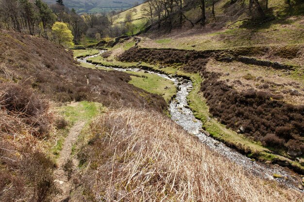 Pequeño río rodeado de colinas cubiertas de vegetación bajo la luz del sol en el Reino Unido