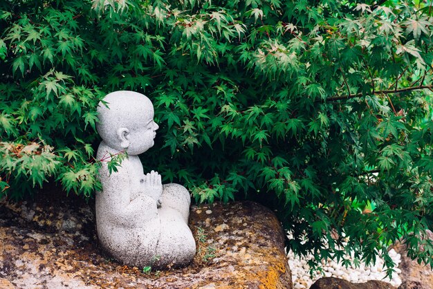 Perfil de una pequeña estatua de Buda rezando bajo el árbol en la naturaleza