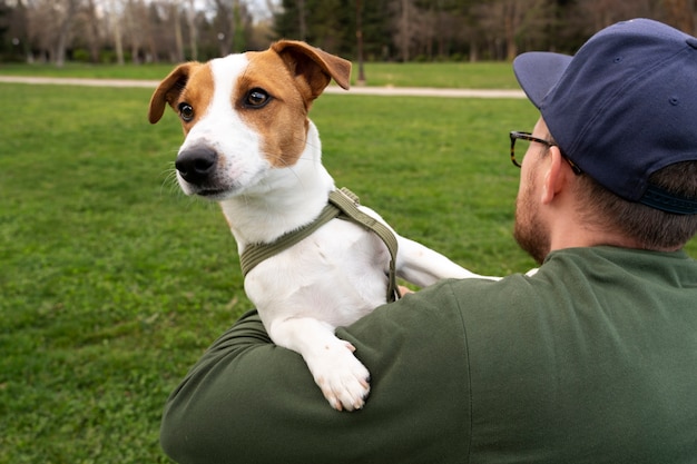 Foto gratuita perro adorable en el parque en la naturaleza con el dueño