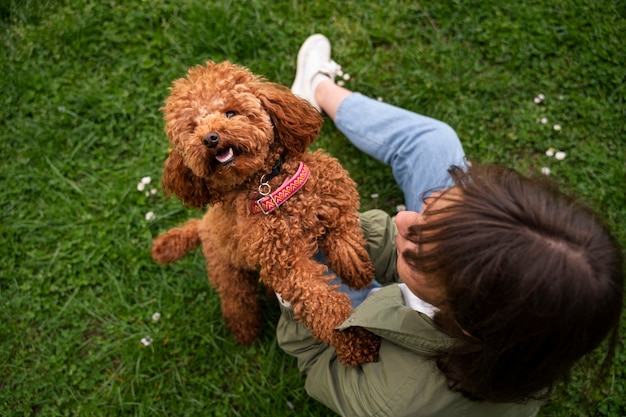 Perro adorable en el parque en la naturaleza con el dueño