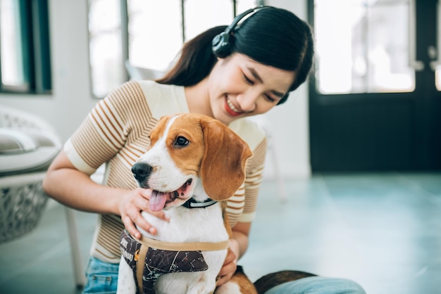 Perro beagle con mujer en la sala de estar, foco en el perro