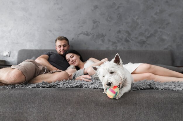 Perro blanco que juega con la bola y la familia que se relajan en el sofá en el fondo