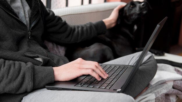 Perro de caricias de mano de primer plano