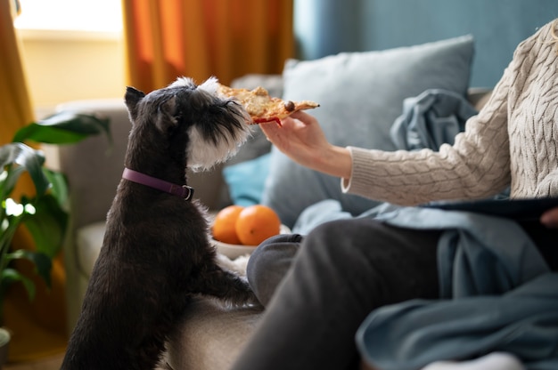 Foto gratuita perro comiendo pizza