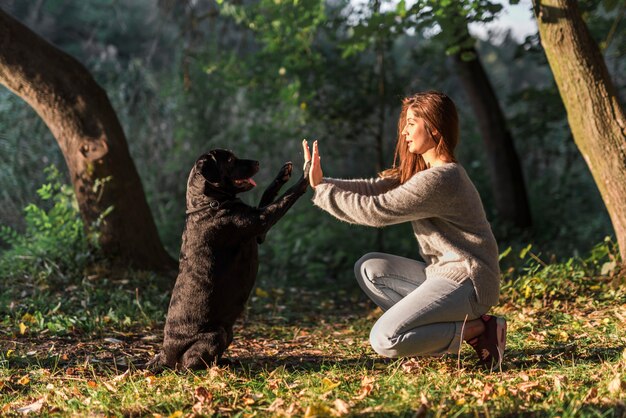 Perro dando cinco a su dueño de mascota en el parque