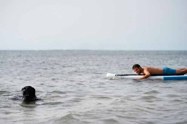 Perro divirtiéndose en la playa