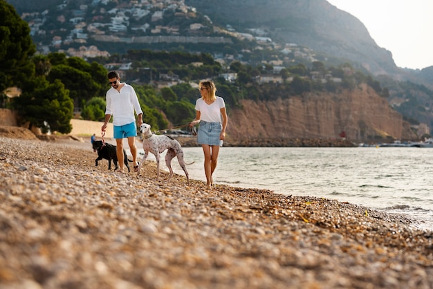 Foto gratuita perro divirtiéndose en la playa