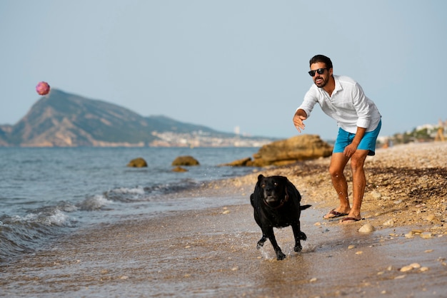 Foto gratuita perro divirtiéndose en la playa