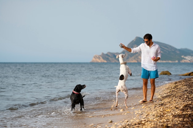 Foto gratuita perro divirtiéndose en la playa