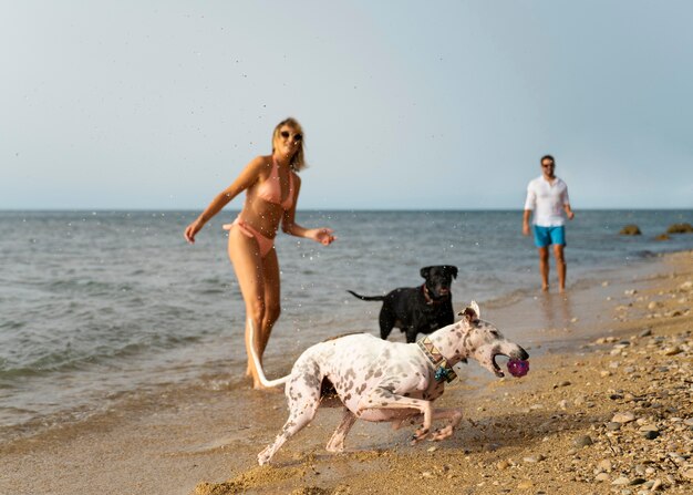 Perro divirtiéndose en la playa