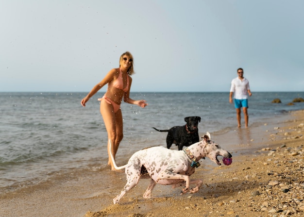 Perro divirtiéndose en la playa