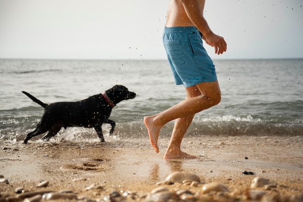 Perro divirtiéndose en la playa