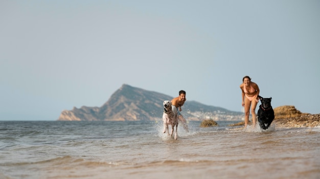 Perro divirtiéndose en la playa