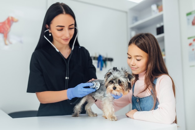 Perro feliz en examen médico con niña y médico