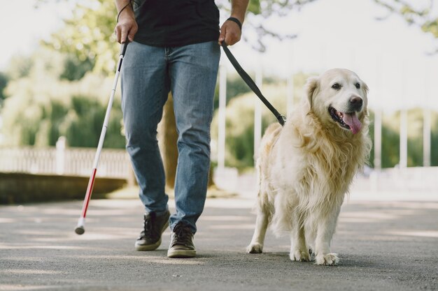 Perro guía ayudando a ciego en la ciudad. Chico ciego guapo tiene descanso con golden retriever en la ciudad.