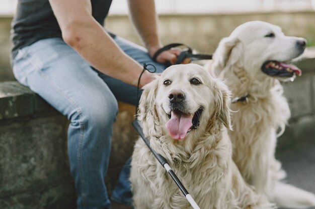 Perro guía ayudando a ciego en la ciudad. Chico ciego guapo tiene descanso con golden retriever en la ciudad.