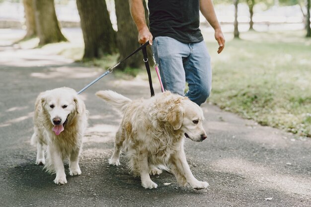 Perro guía ayudando a ciego en la ciudad. Chico ciego guapo tiene descanso con golden retriever en la ciudad.