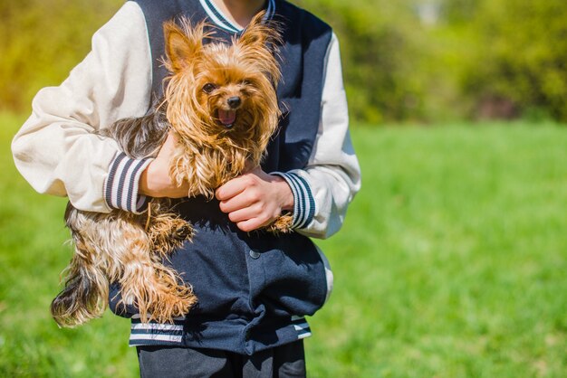 Perro lindo en los brazos de un niño