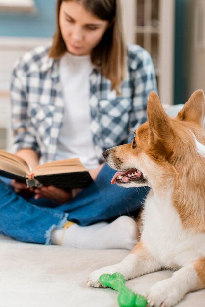 Foto gratuita perro mirando el libro de lectura del dueño femenino