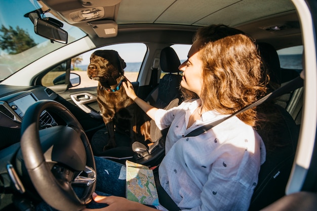 Perro negro grande en coche