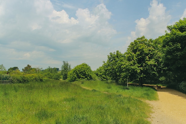 Perro de pie en la carretera en Lodmoor Country Park, Weymouth, Dorset en verano