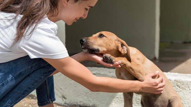 Perro de rescate disfrutando de ser mascota por mujer en el refugio