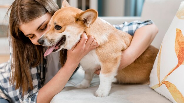 Perro retenido por su dueño