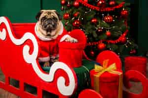 Foto gratuita perro santa montando santa juego para navidad