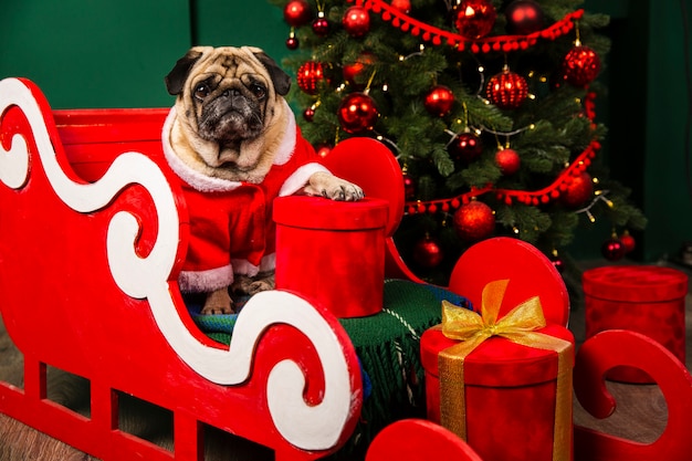 Perro santa montando santa juego para navidad