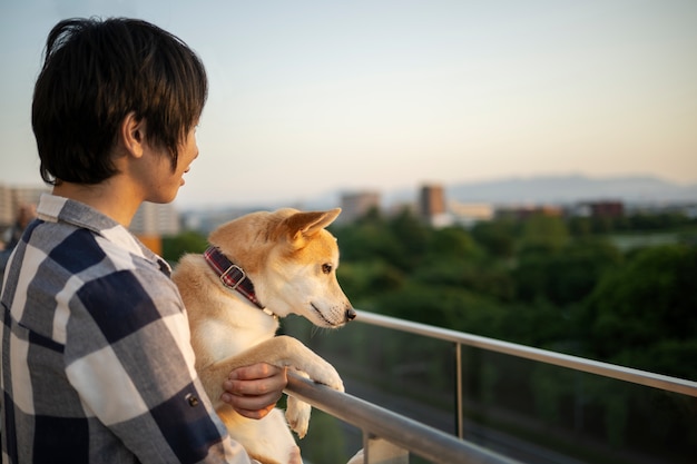 Foto gratuita perro shiba inu dando un paseo