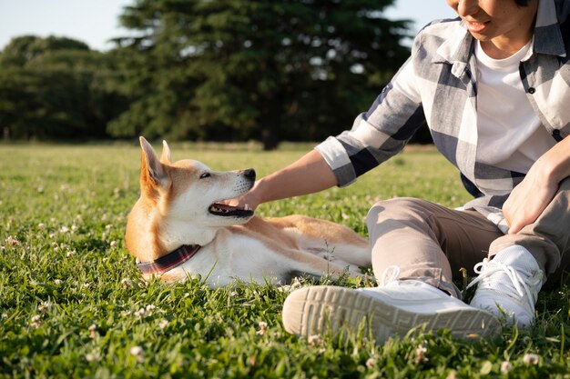 Perro shiba inu dando un paseo